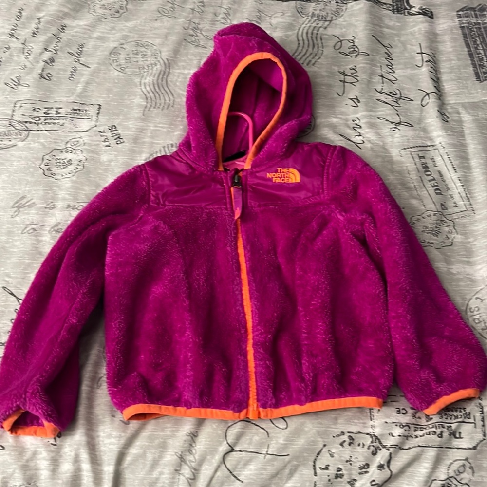 The north face sweater